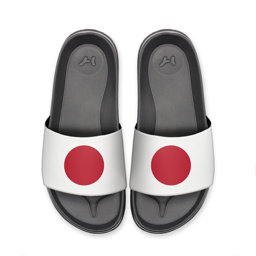 Japan Slydr Switch