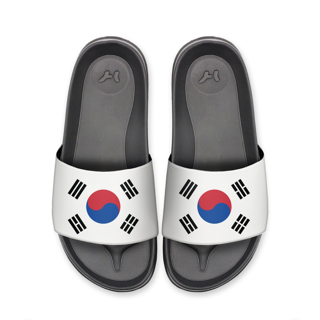 South Korea Slydr Switch