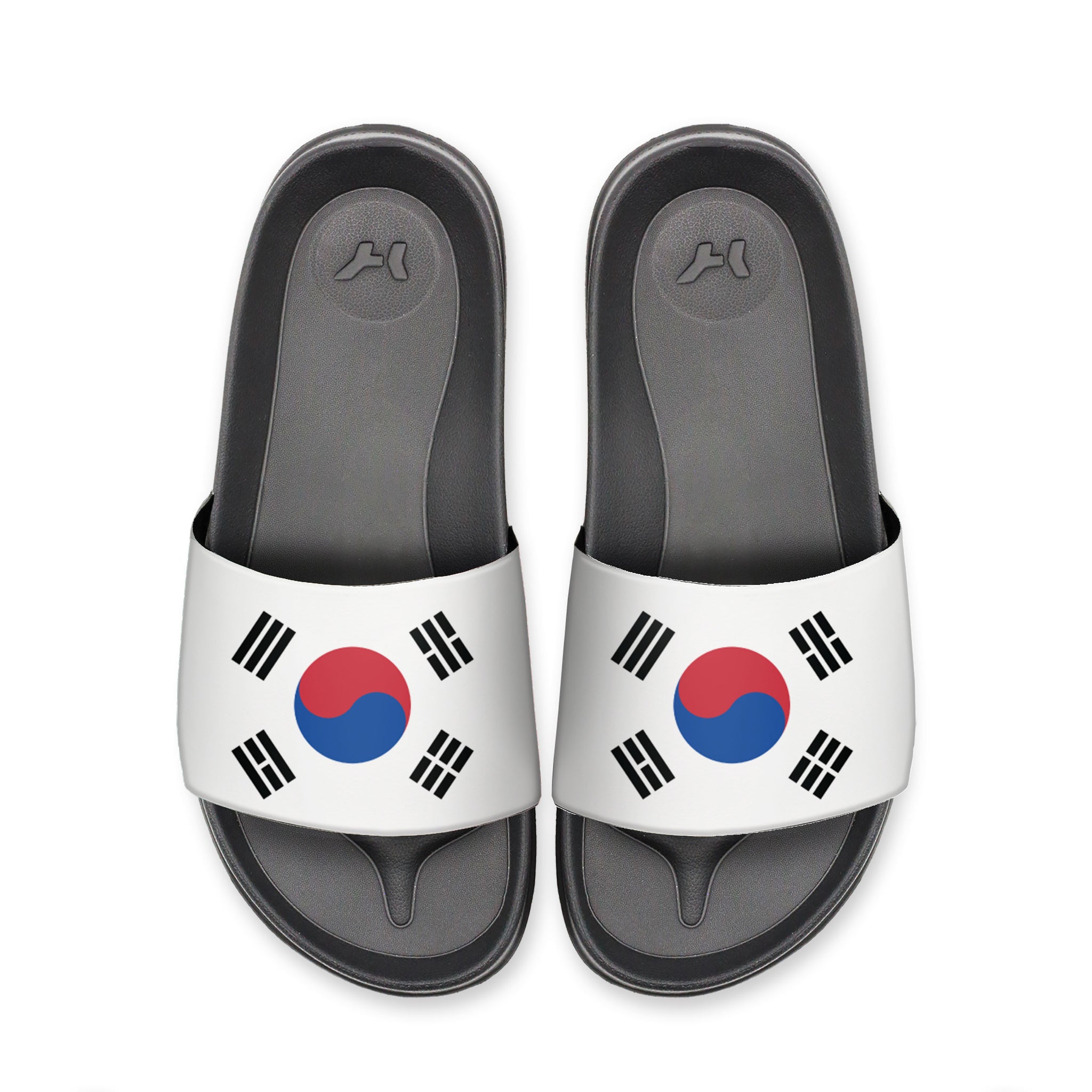 South Korea Slydr Switch
