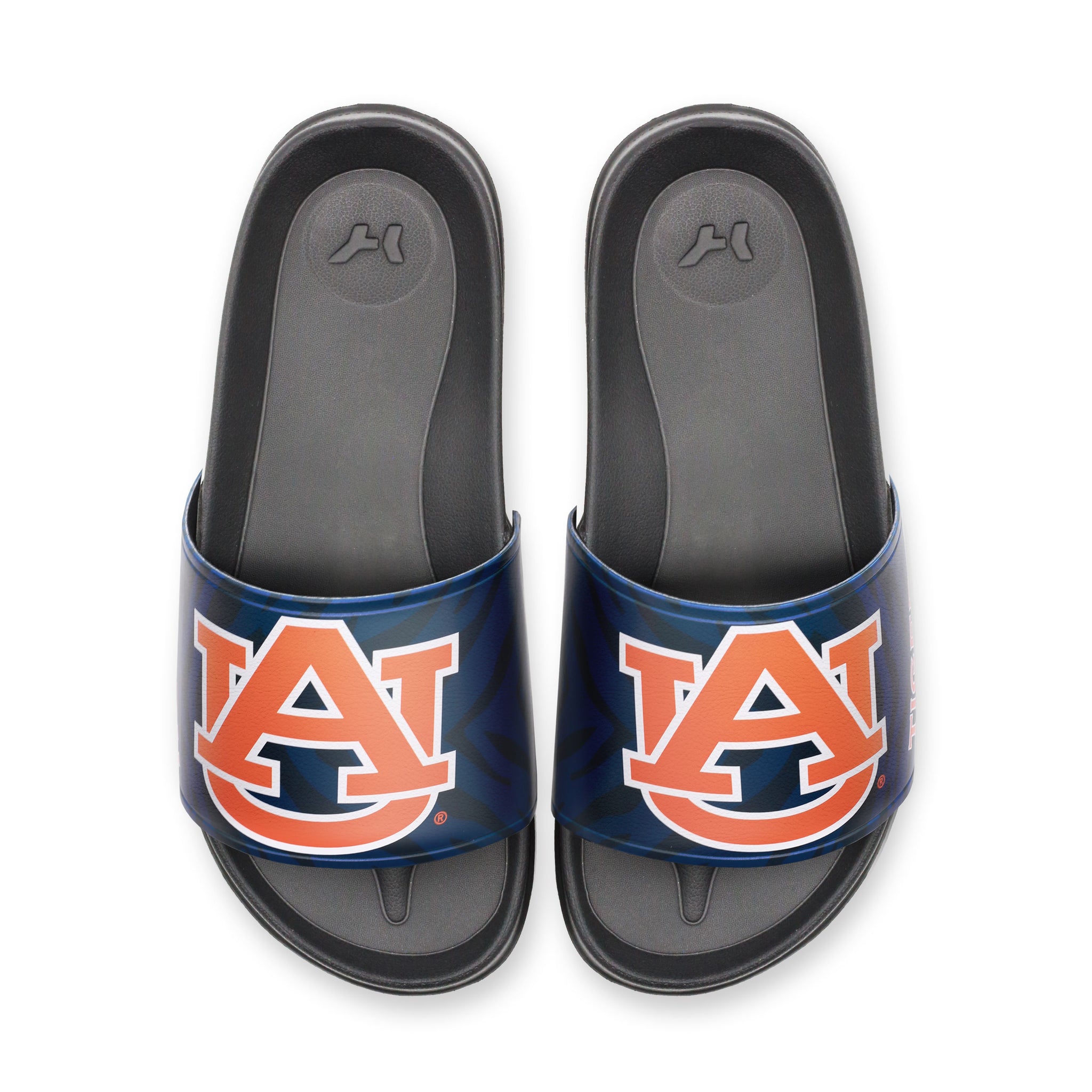 Auburn University AU Slydr Switch