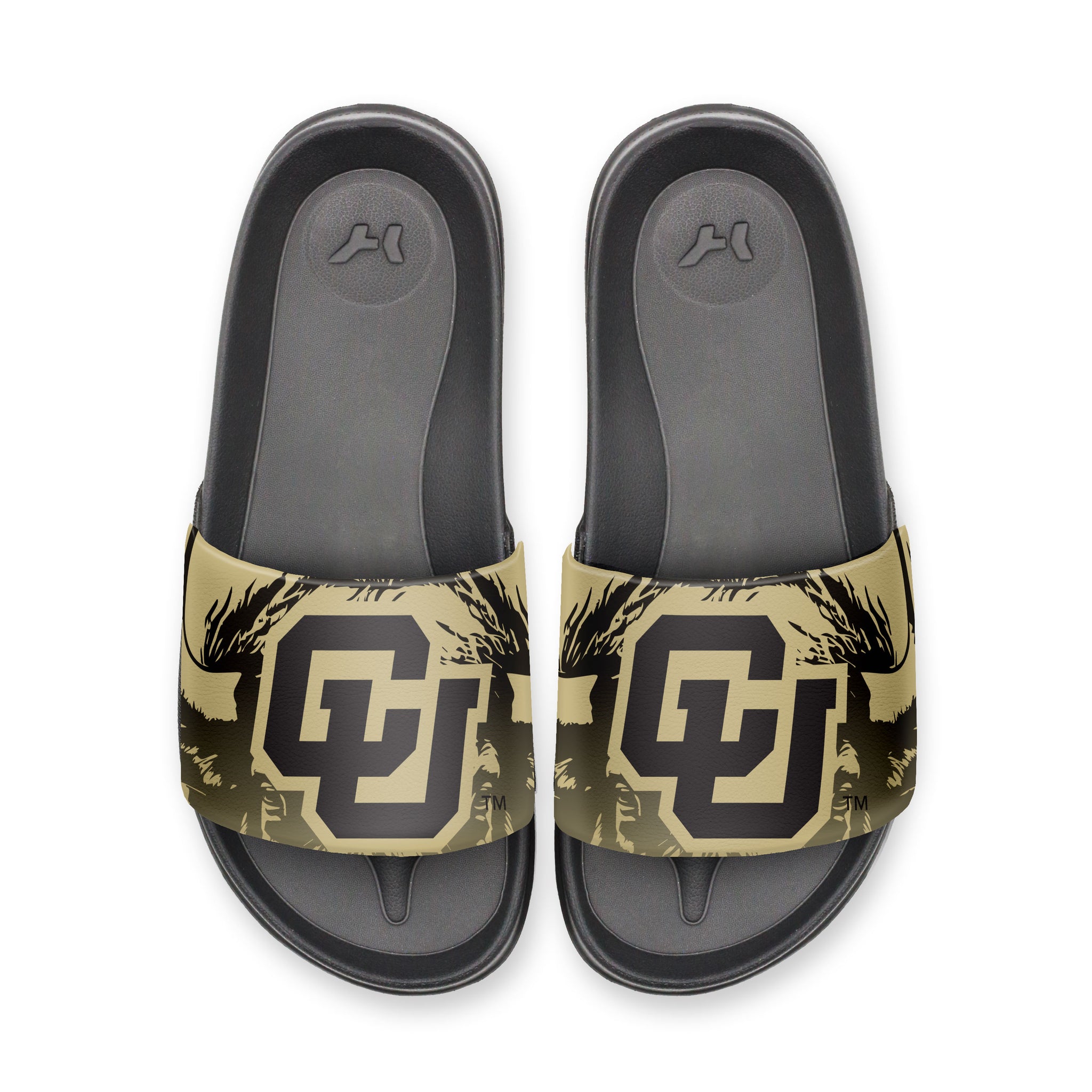 University of Colorado Gold Buffs Slydr Switch