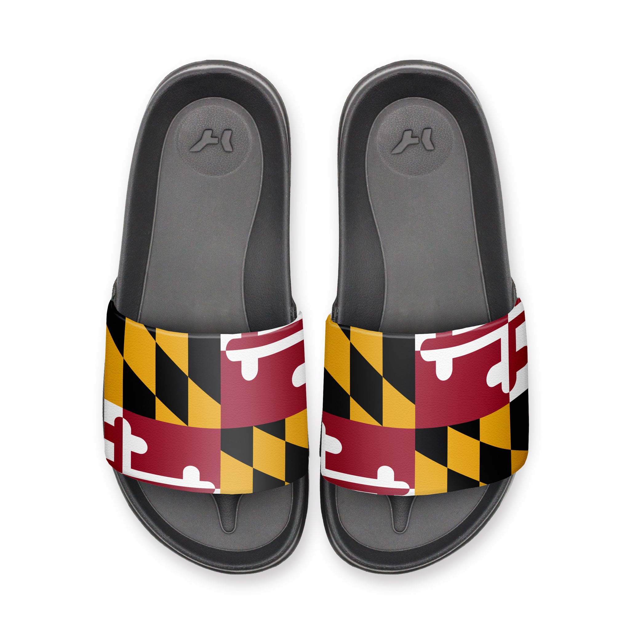 Maryland Flag Slydr Switch CS