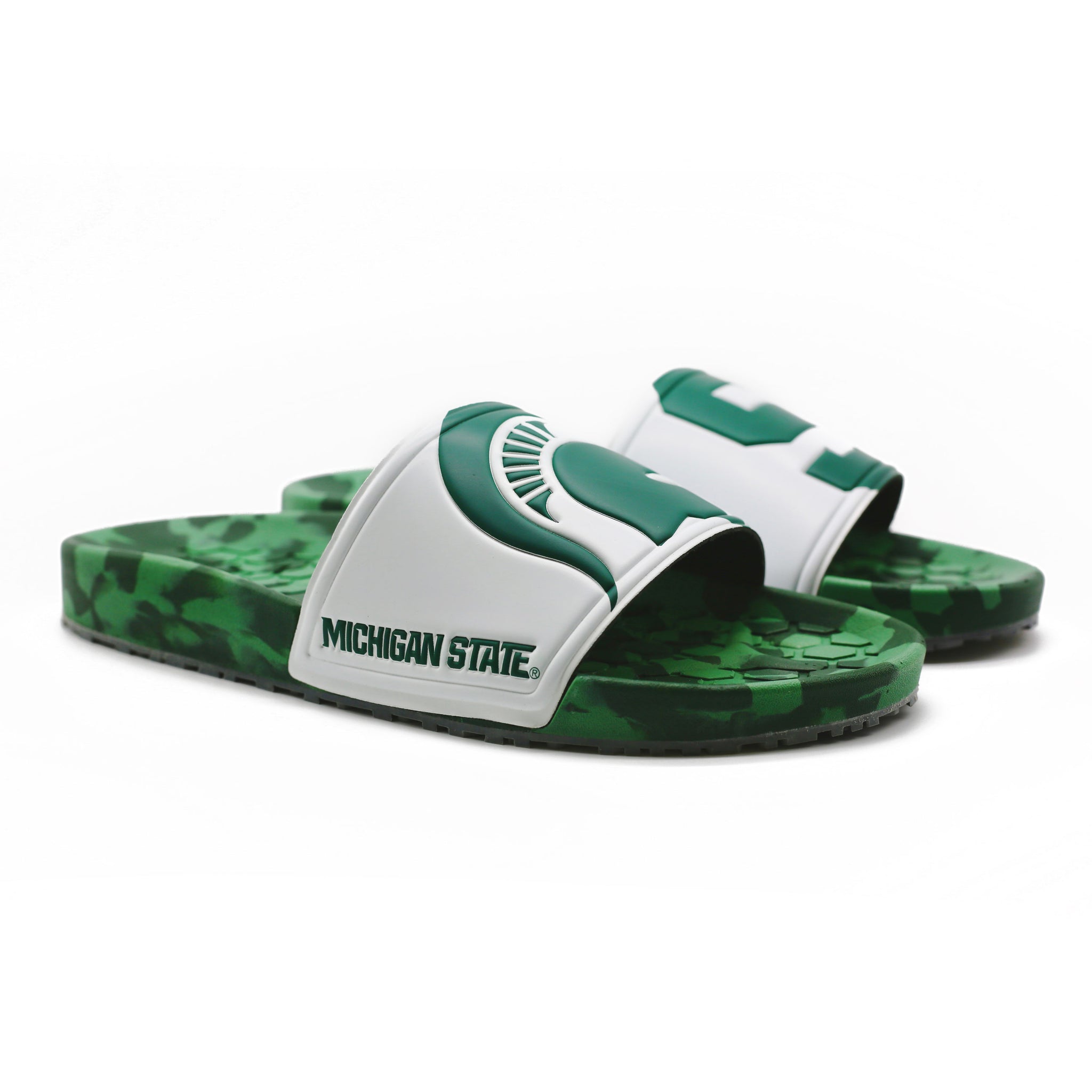 Michigan State University Slydr