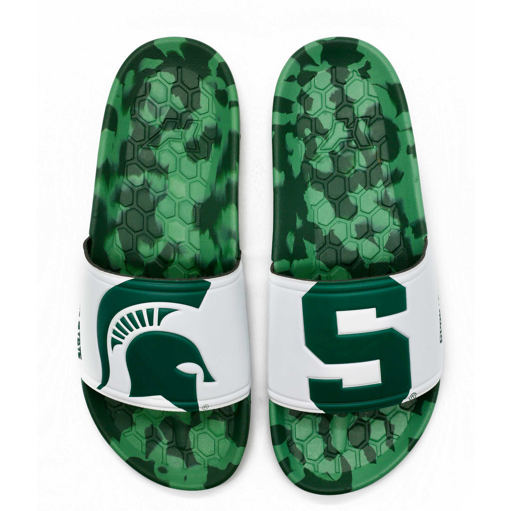 Michigan State University Slydr